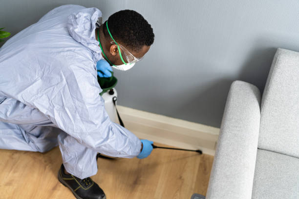 Real Estate Pest Inspections in Shaw, MS